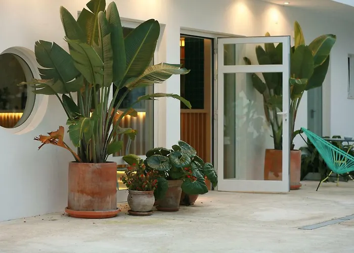 Cumbres Conil De La Frontera