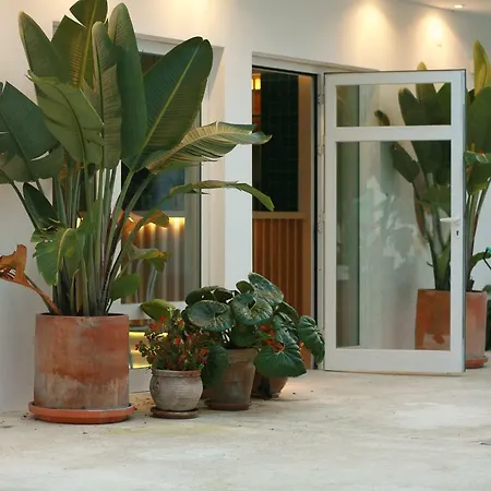 Cumbres 콘일데라프론테라